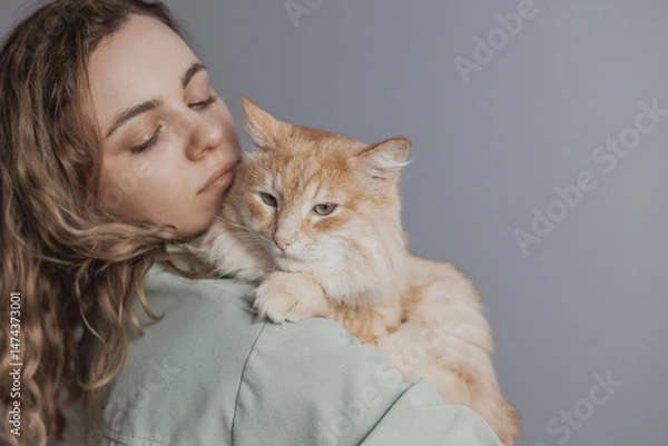 Obraz ginger maine coon cat sits on hands of young woman on gray background copy space. pet love and affection, human care