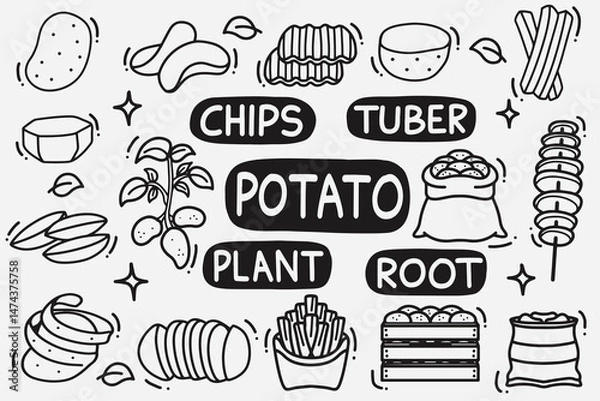 Obraz set of potato doodle good for background, wallpaper, icon, element design, etc