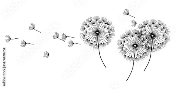 Fototapeta A delicate dandelion vector art on a white background, featuring fine lines and soft details. The floating seeds evoke a sense of freedom, renewal, and nature's fleeting beauty in a minimalist design.