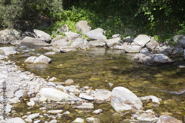 Obraz Walking with Kira