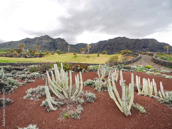 Fototapeta Landscape in Tenerife island from Spain in Springtime