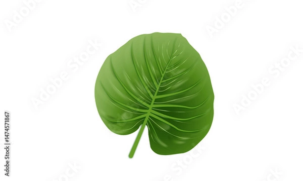 Obraz green leaf on white background Bright green botanical leaf with soft shadows and highlights on transparent background, perfect for organic, wellness, and eco-friendly projects.