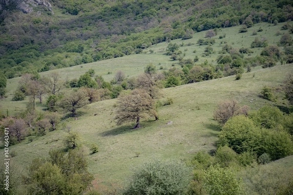 Fototapeta mountain landscape in the morning