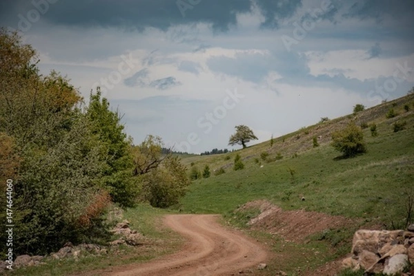 Fototapeta mountain road in the mountains