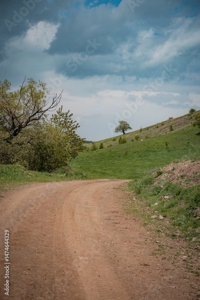 Fototapeta road in the countryside