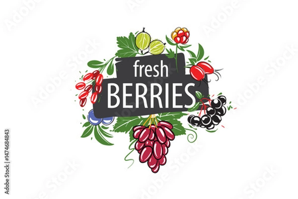 Obraz Vector logo with painted fresh berries.