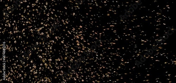Obraz Sparkling gold glitter falling on black. Perfect for backgrounds, overlays, and festive designs.