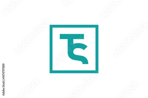 Obraz TS Vector Logo Premium 