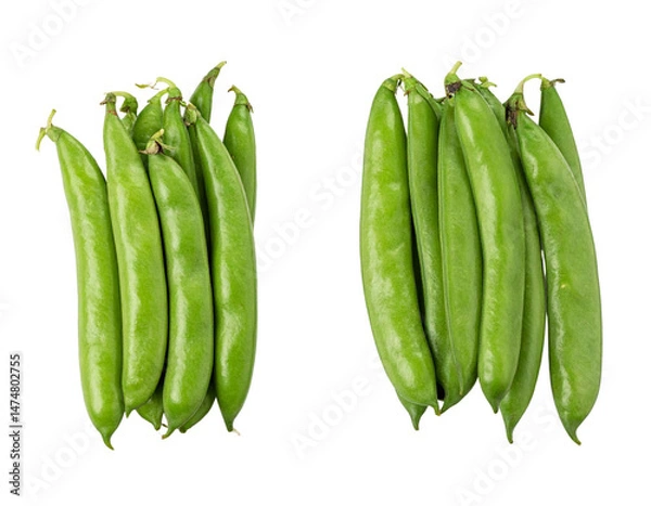 Fototapeta Set of two realistic photographs isolated on a transparent background PNG