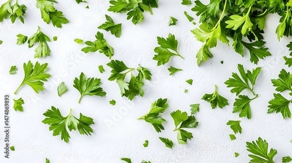 Fototapeta Scattered fresh parsley leaves on a white textured background surface