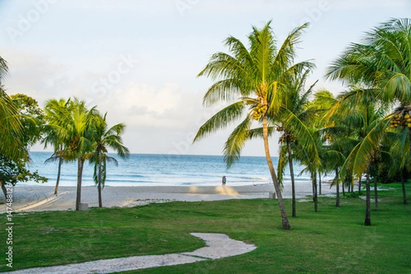 Obraz Beautiful Cuba during Sunset 