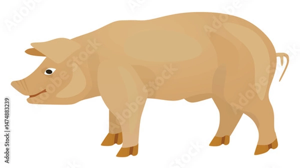 Obraz White pig isolated. vector illustration