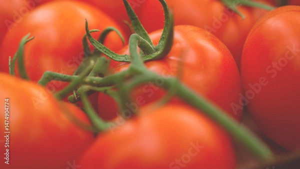 Fototapeta Extreme close-up of fresh ripe tomatoes on the vine, showing vibrant colors and texture, symbolizing organic farming, freshness, and healthy natural produce.