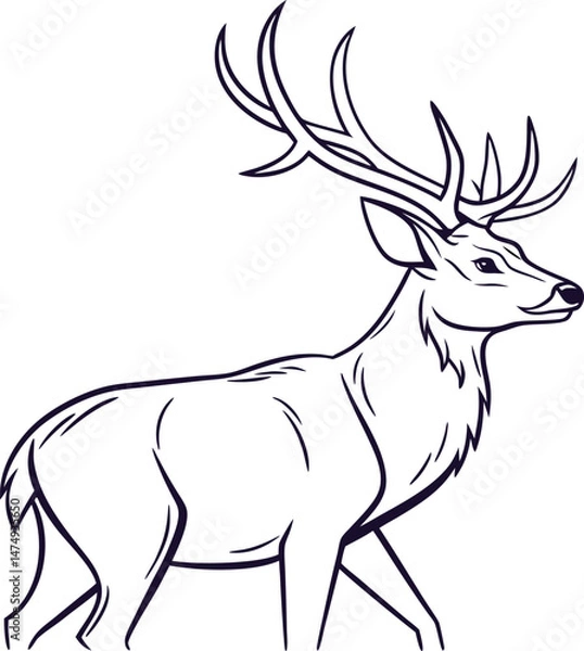 Fototapeta Elegant Deer Line Art Drawing design with white background
