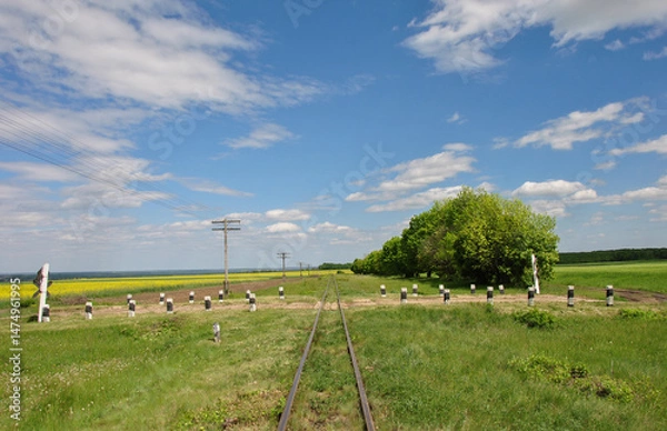 Fototapeta beautiful rural landscape with an old railway stretching into the distance
