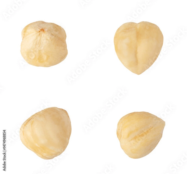 Fototapeta Four peeled hazelnuts on transparent background