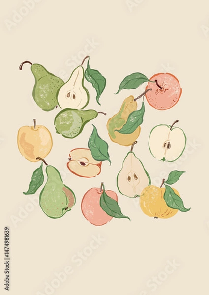 Fototapeta Vector fruit poster of apples and pears. Hand-drawn garden harvest sketch. Tasty food illustration for restaurant and cafe interior, fruit market drawing print, fabric or background.