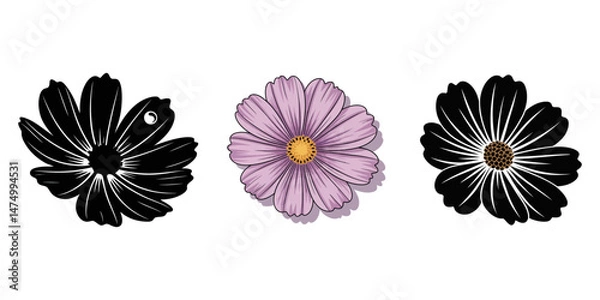 Obraz Engraving of Daisy, Daisy flower vector illustration, Spring Flower Icon, Daisy illustration flower simple vector, Pink flower illustration floral daisy vector, Common daisy blossom isolated on white 