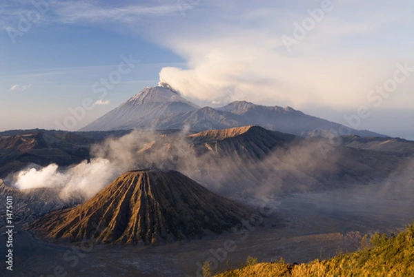 Obraz bromo