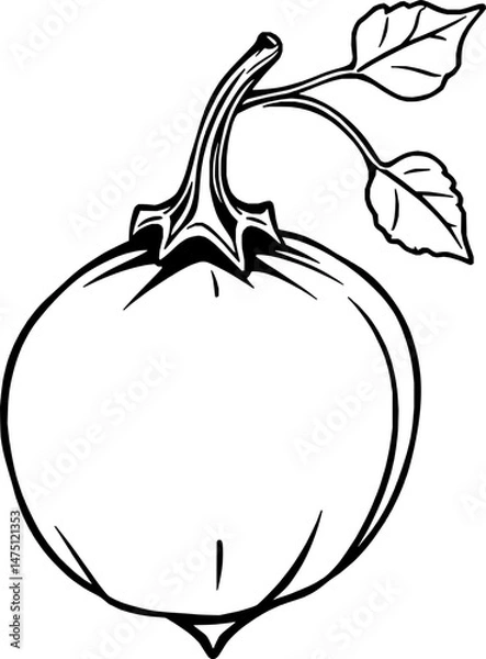 Obraz Line Art Drawing Of A Single Round Fruit With Stem And Leaves