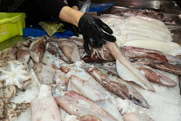 Obraz Venta de calamares frescos en el mercado.