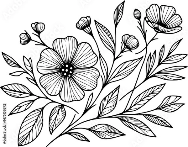 Fototapeta Line drawing of various flowers vector, clipart, transparent, png, element