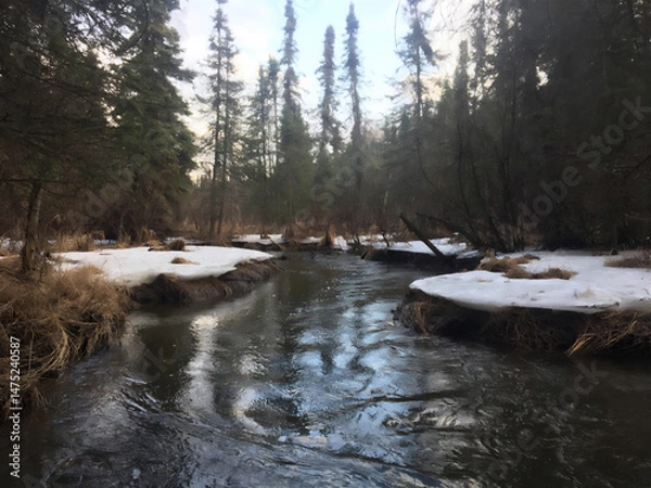 Obraz river in winter