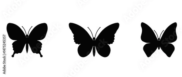 Obraz butterfly silhouette vector
