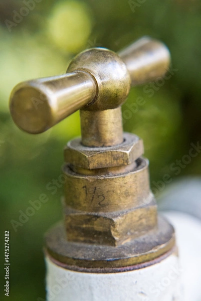 Fototapeta Brass water valve, garden irrigation.
