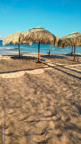 Fototapeta A serene beach illustration with thatched umbrellas and a few scattered chairs on the sand. The gentle waves and clear sky create a soothing and inviting seaside environment.