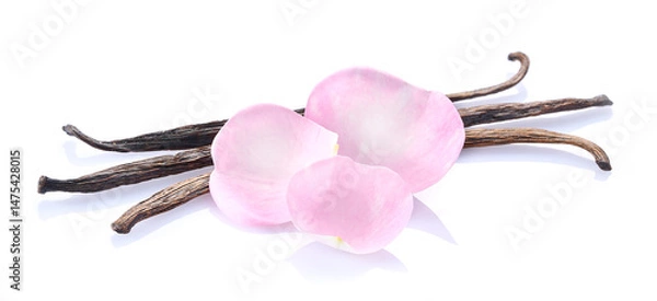 Fototapeta Rose petals with vanilla beans in closeup on white background