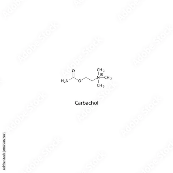 Fototapeta Carbachol skeletal structure. Cholinergic agonist (Muscarinic and nicotinic agonist) compound schematic illustration. Simple diagram, chemical formula.