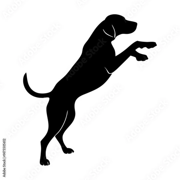 Fototapeta A clean vector Dog silhouettes on a white background, in black with simple vector style