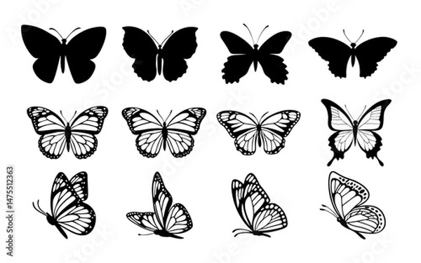 Fototapeta A clean vector set of butterfly butterfly silhouettes in various poses on a clean white background vector style