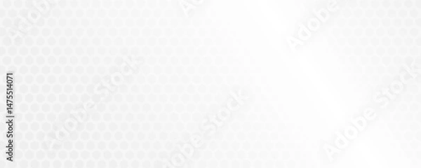 Obraz Seamless pattern of the hexagonal netting. Vector Eps10