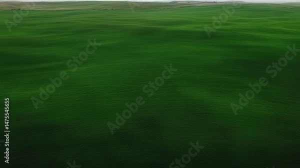 Fototapeta Windswept Green Field with Aerial View.