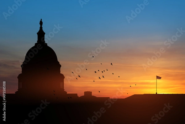 Fototapeta The United States Capitol building silhouette on background of sky at sunset with flying birds in Washington DC, USA.