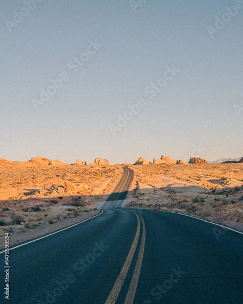 Fototapeta desert road in the desert