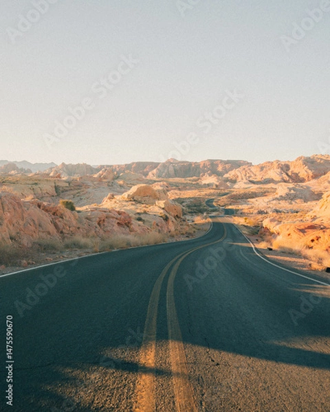 Obraz road to the desert