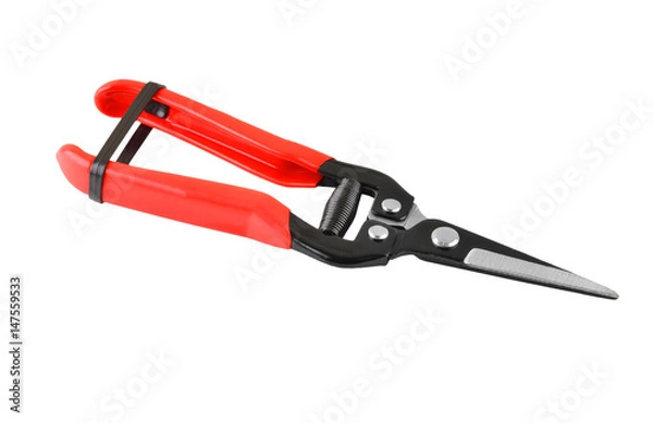 Fototapeta Red garden pruner