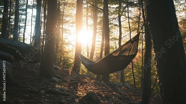 Fototapeta Cozy Hammock Retreat in a Serene Forest with Dappled Sunlight
