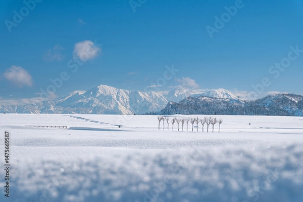 Fototapeta 冬山の風景