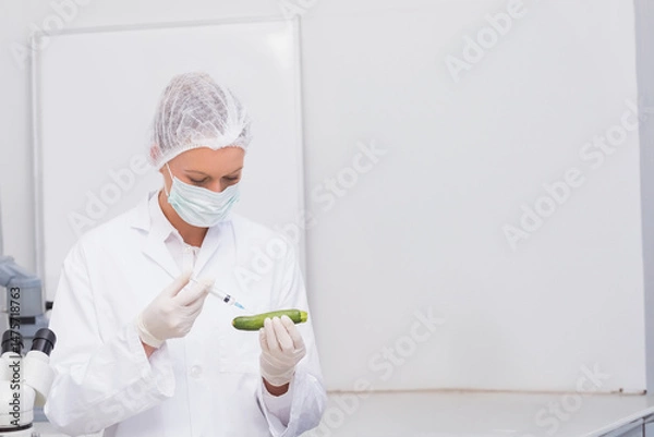 Fototapeta Cucumber is being injected with clear liquid on sterile lab bench, near microscope and whiteboard