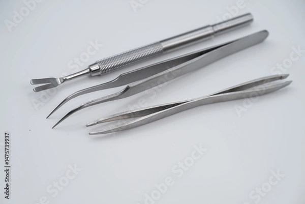 Fototapeta  Stainless Steel Tick Removal Tools for Dogs and Cats - Precision Pet Flea and Tick Tweezers Set with Textured Grip Handles