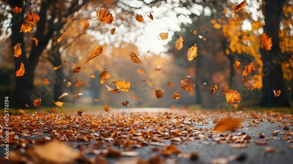 Fototapeta Vibrant autumn leaves are dynamically falling, creating a beautiful natural moment on a road lined with trees du a colorful fall season experience.