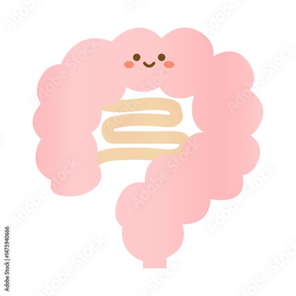 Obraz ぴかぴかきれいな元気な腸