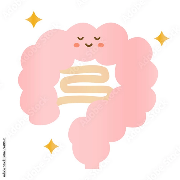 Obraz ぴかぴかきれいな元気な腸