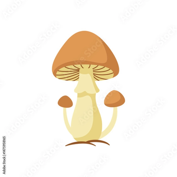Obraz Simple Group of Brown and Beige Mushrooms Vector Illustration