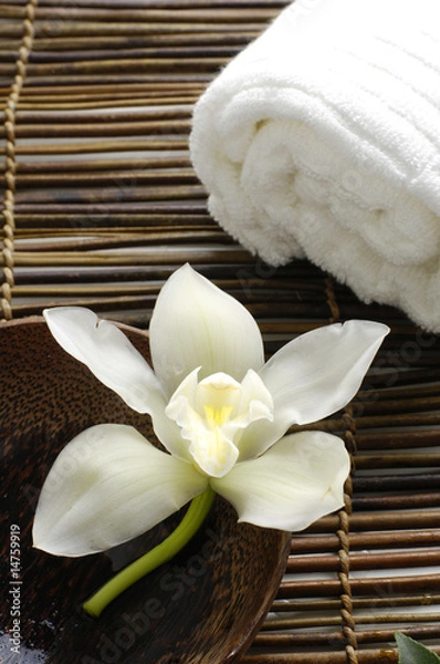 Fototapeta White orchid in a spa