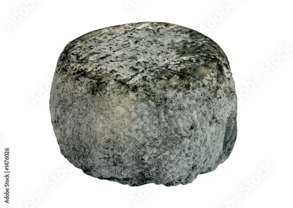 Fototapeta fromage de chèvre
